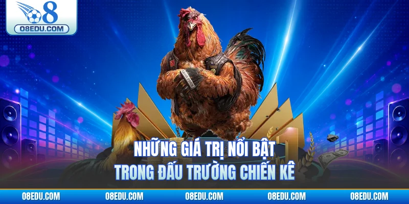 Những giá trị nổi bật trong đấu trường chiến kê